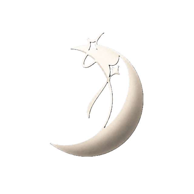 Sabitplay Logo